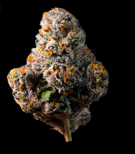 Gelato #41