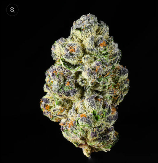 Jealousy 28g